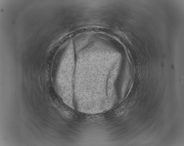 X0000073731159200608241249