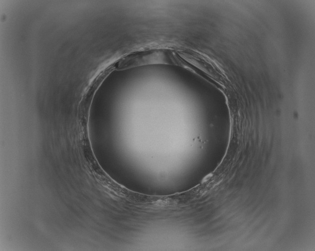 X0000073731160200608241249