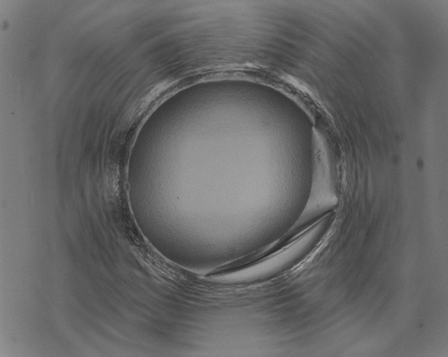 X0000073731161200608241249