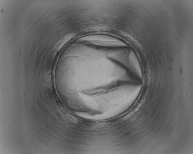 X0000073731162200608241249