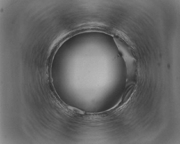 X0000073731164200608241249