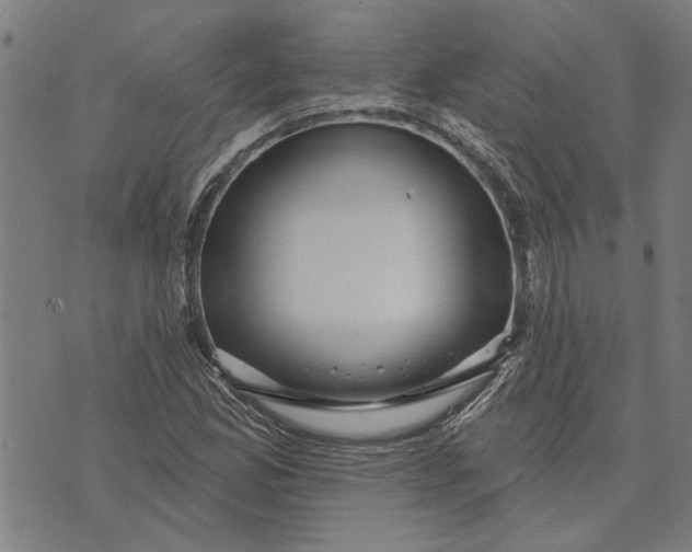 X0000073731165200608241249