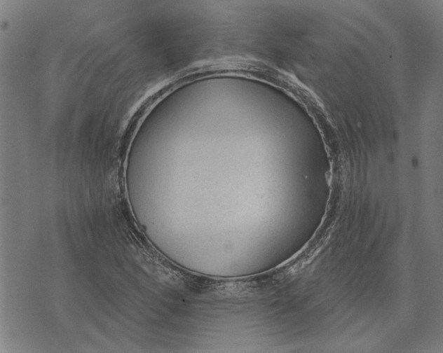 X0000073731166200608241249