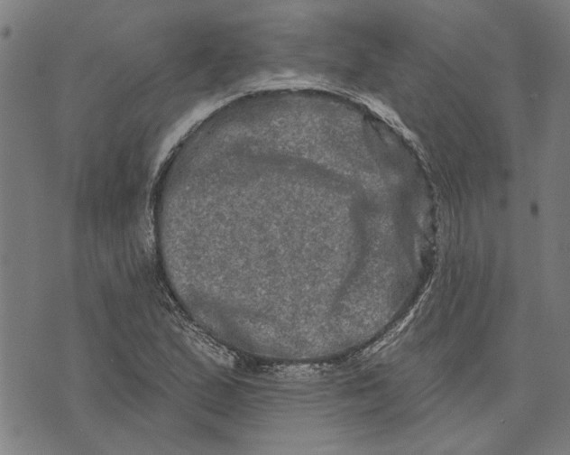 X0000073731167200608241249