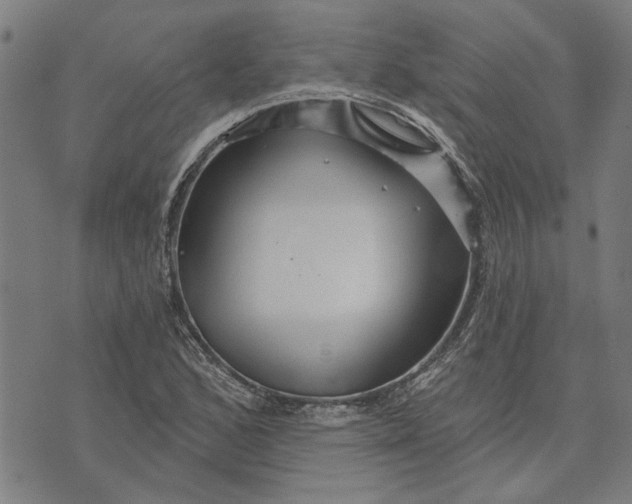 X0000073731168200608241249