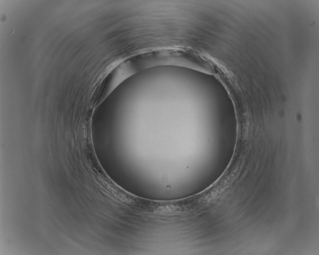 X0000073731169200608241249