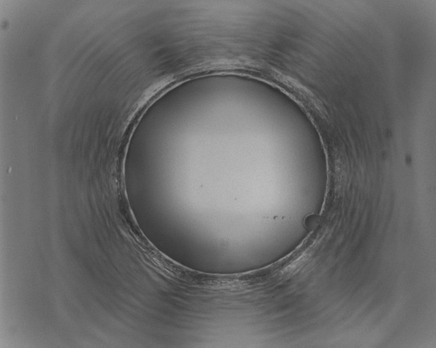 X0000073731170200608241249