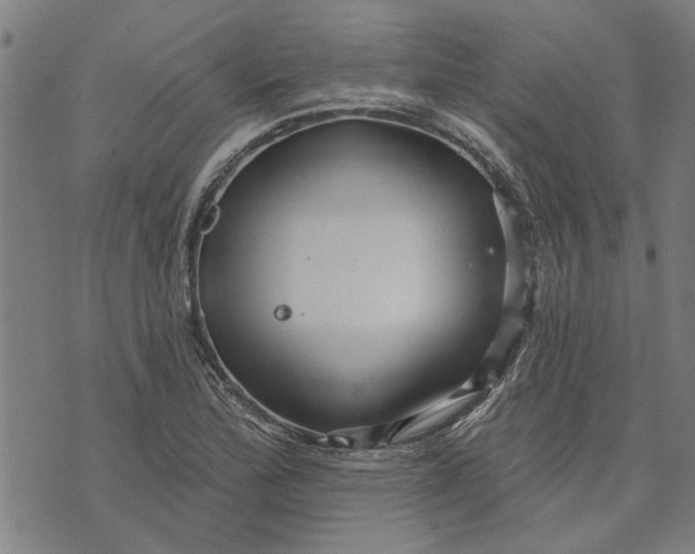 X0000073731172200608241249