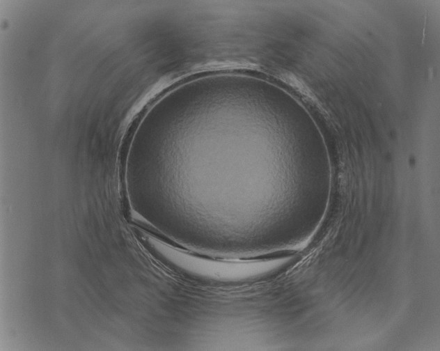 X0000073731173200608241249