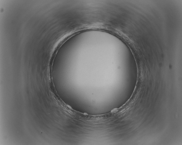 X0000073731174200608241249