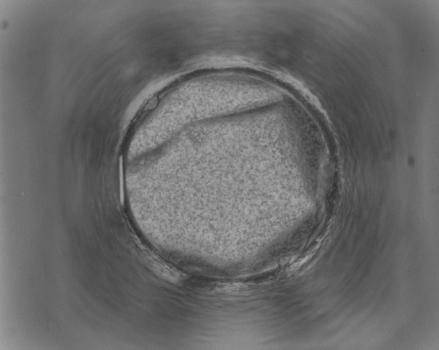 X0000073731175200608241249