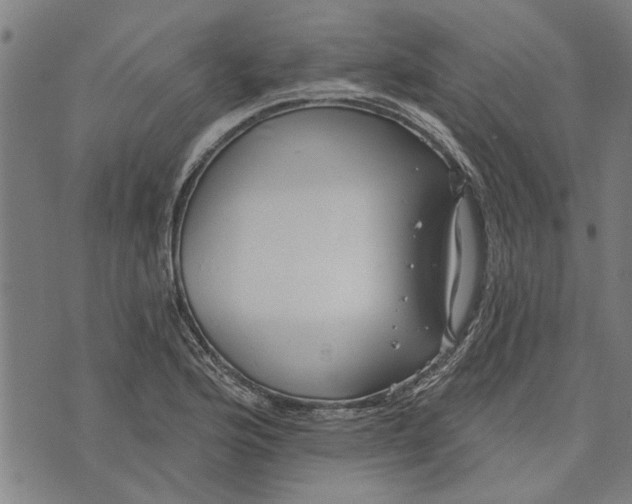 X0000073731176200608241249