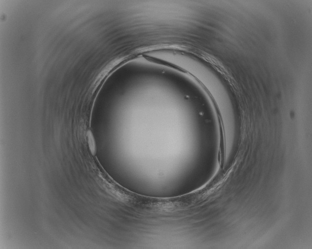 X0000073731177200608241249