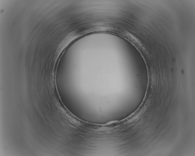 X0000073731178200608241249