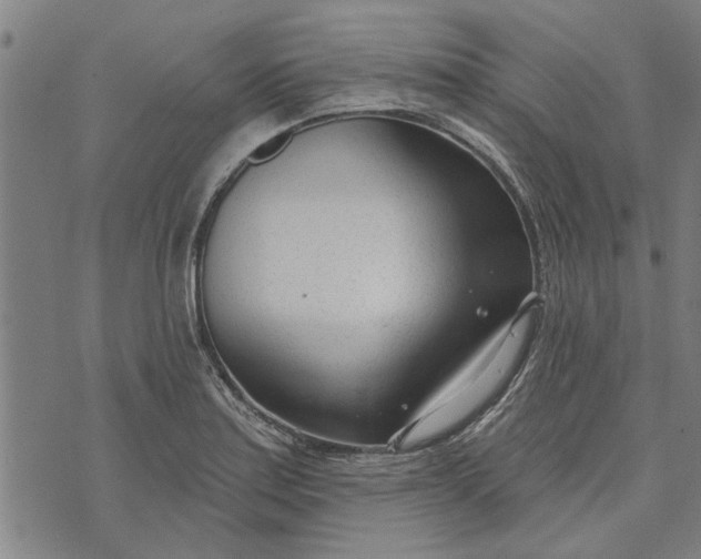 X0000073731179200608241249