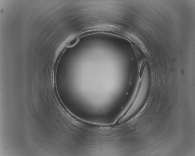 X0000073731180200608241249