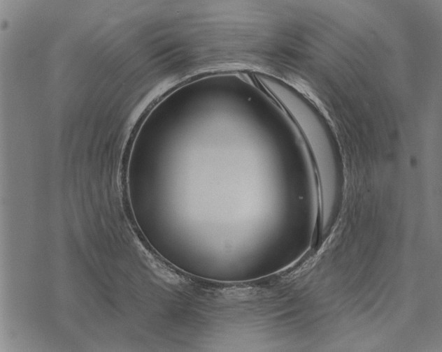 X0000073731181200608241249