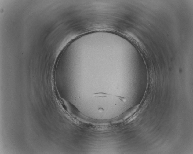 X0000073731182200608241249