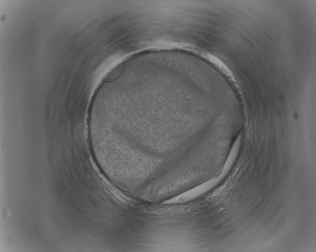 X0000073731183200608241249