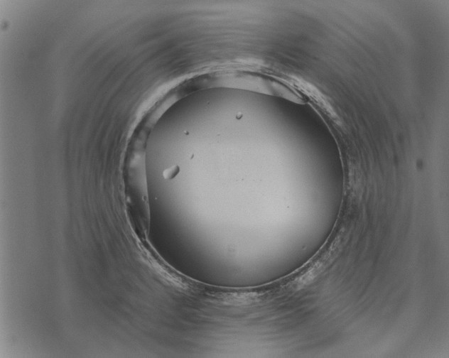 X0000073731184200608241249