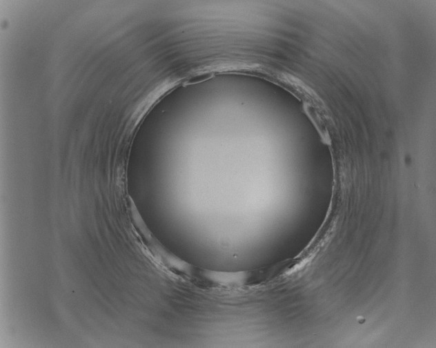 X0000073731185200608241249