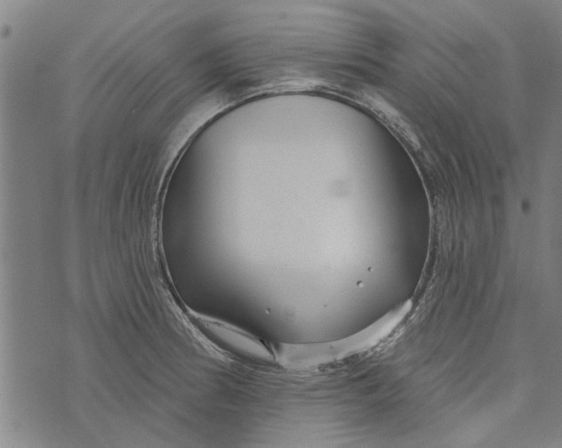 X0000073731186200608241249