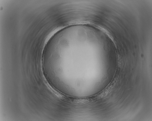 X0000073731187200608241249