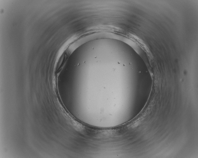 X0000073731188200608241249