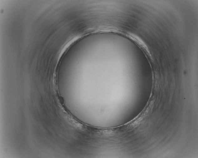 X0000073731190200608241249