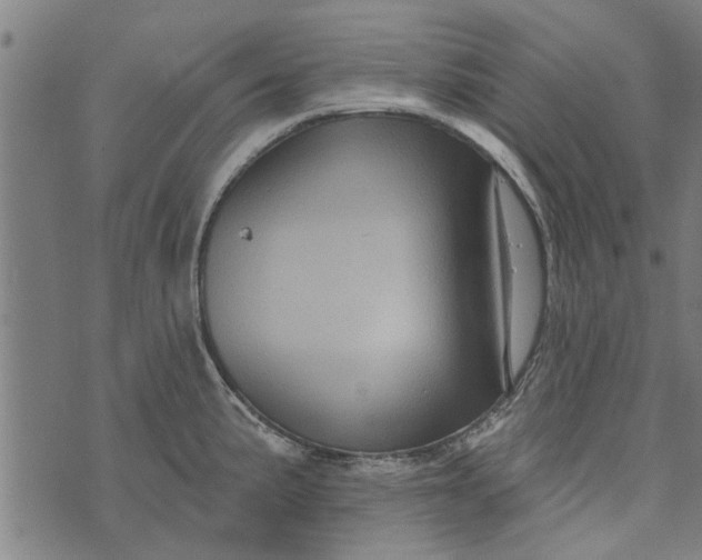 X0000073731191200608241249