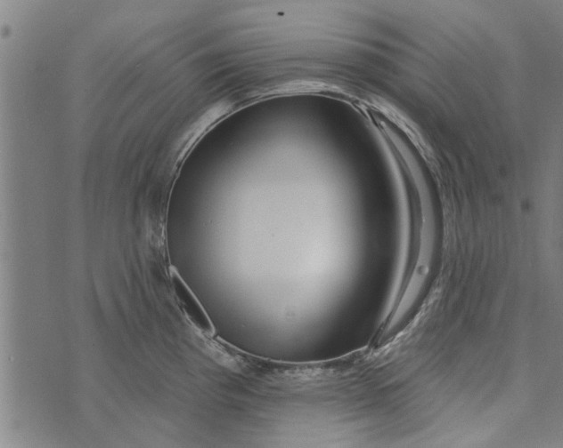 X0000073731193200608241249