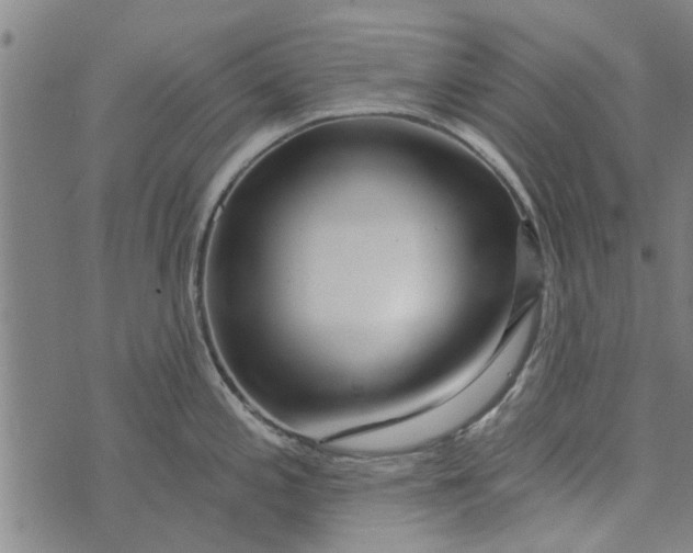 X0000073731197200608241249