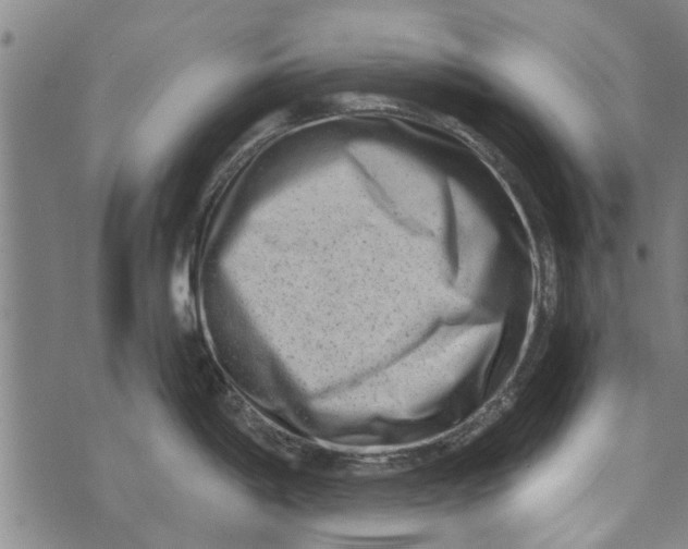 X0000073731198200608241249