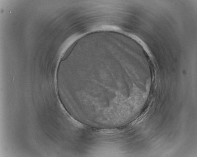 X0000073731199200608241249