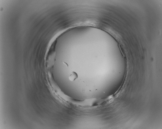 X0000073731200200608241249