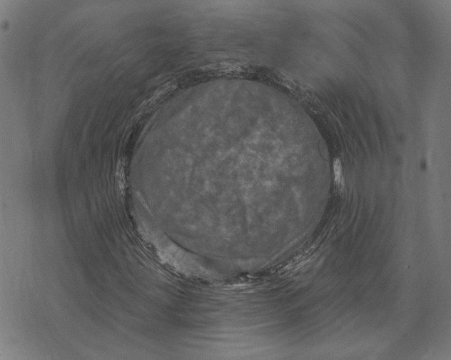 X0000073731203200608241248