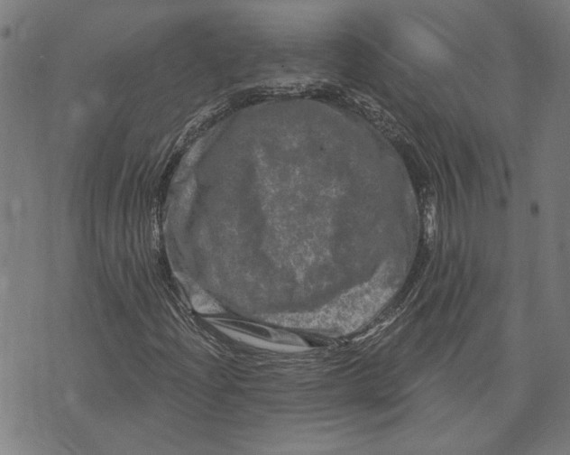 X0000073731204200608241248