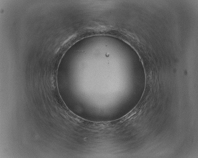 X0000073731205200608241248