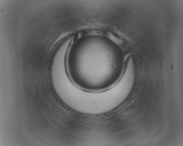 X0000073731206200608241248