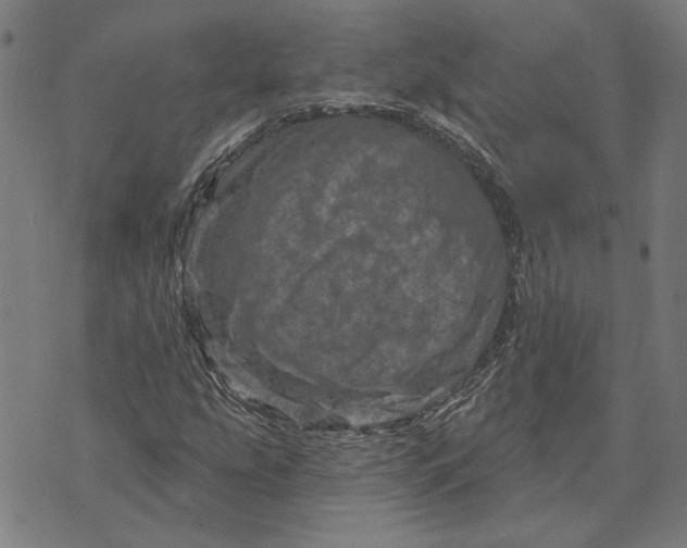 X0000073731207200608241248