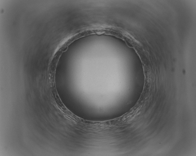 X0000073731208200608241248