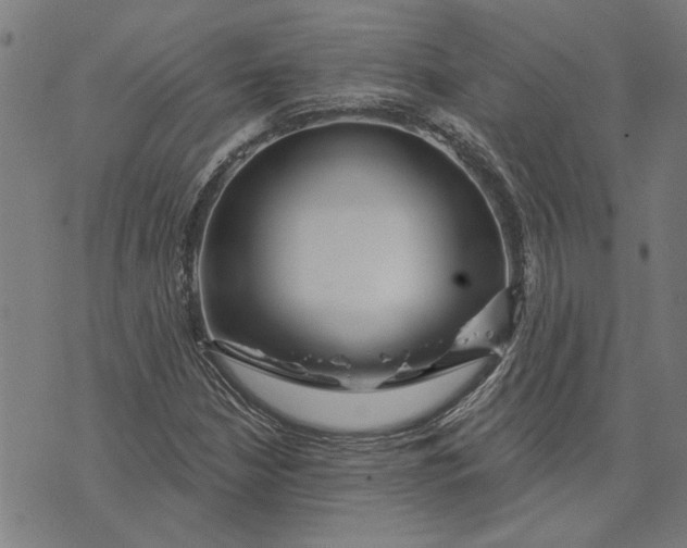 X0000073731210200608241248