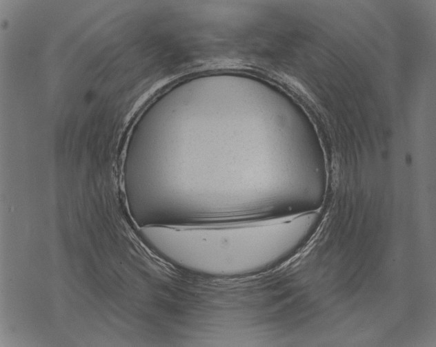 X0000073731212200608241248