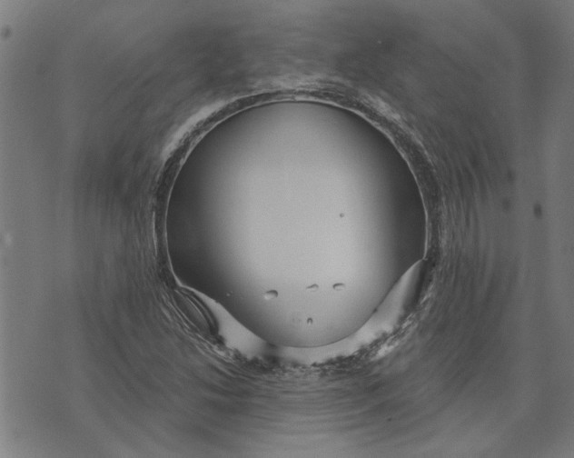 X0000073731214200608241248