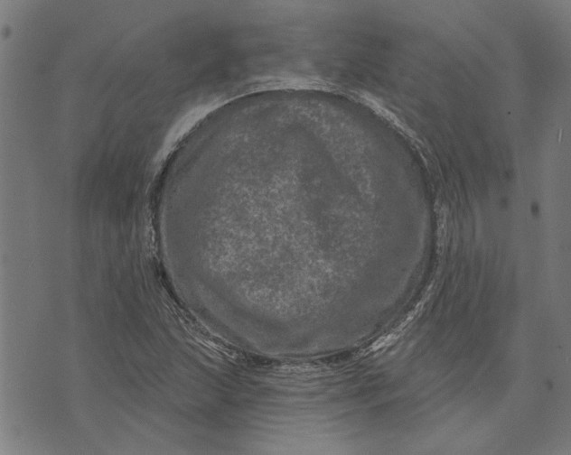 X0000073731215200608241248