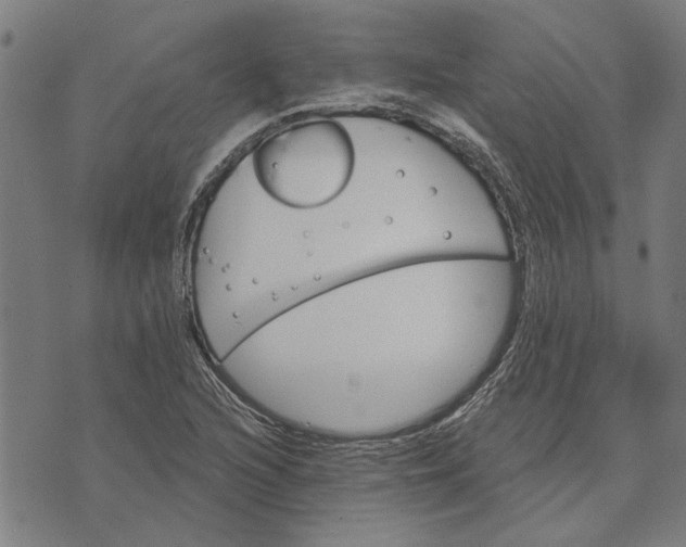 X0000073731216200608241248