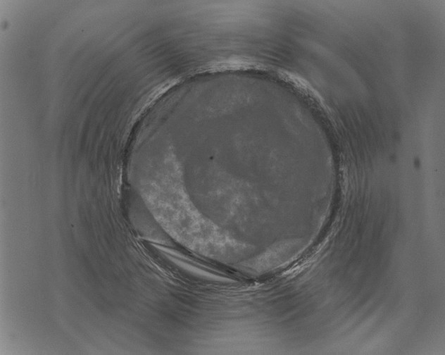 X0000073731217200608241248