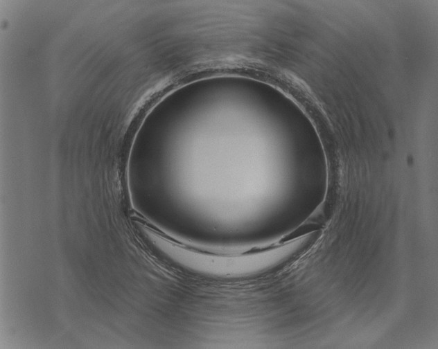 X0000073731218200608241248