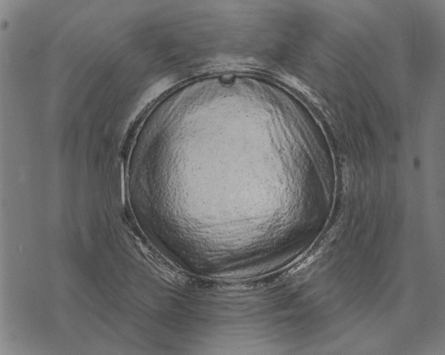 X0000073731219200608241248