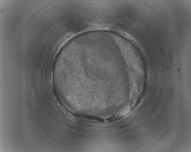 X0000073731220200608241248